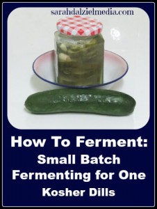 How To Ferment Food_Kosher Dills for One