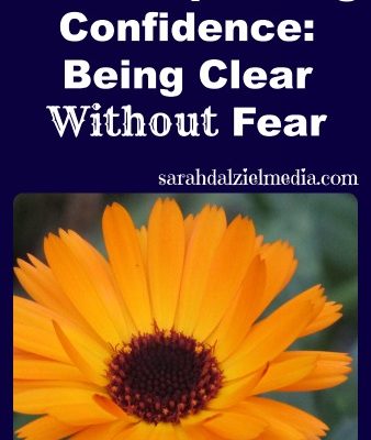 Public Speaking with Confidence: Being Clear without Fear
