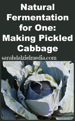 natural fermentation for one_making your own pickled cabbage