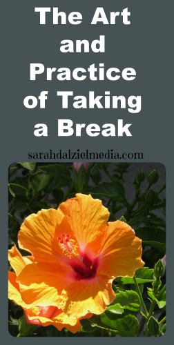 the art and practice of taking a break