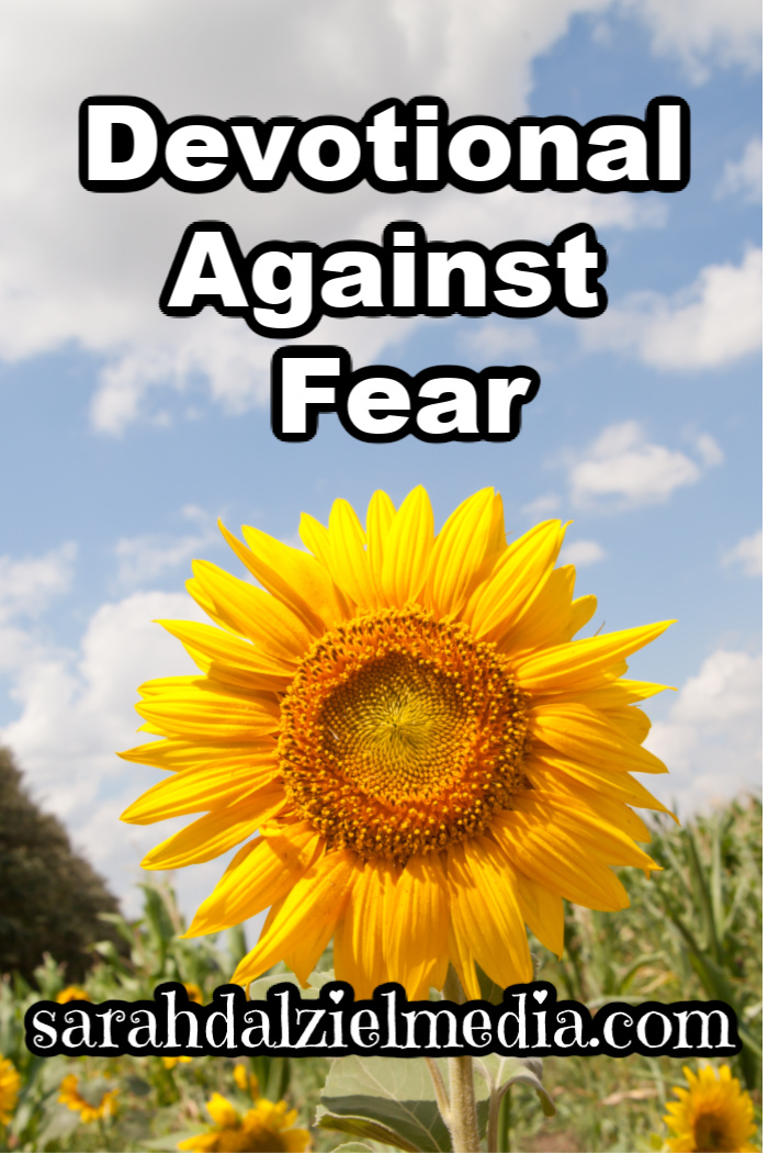 sunflower against blue sky